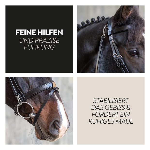 English combined bridle "Berlin" with reins English combined bridle "Berlin" with reins
