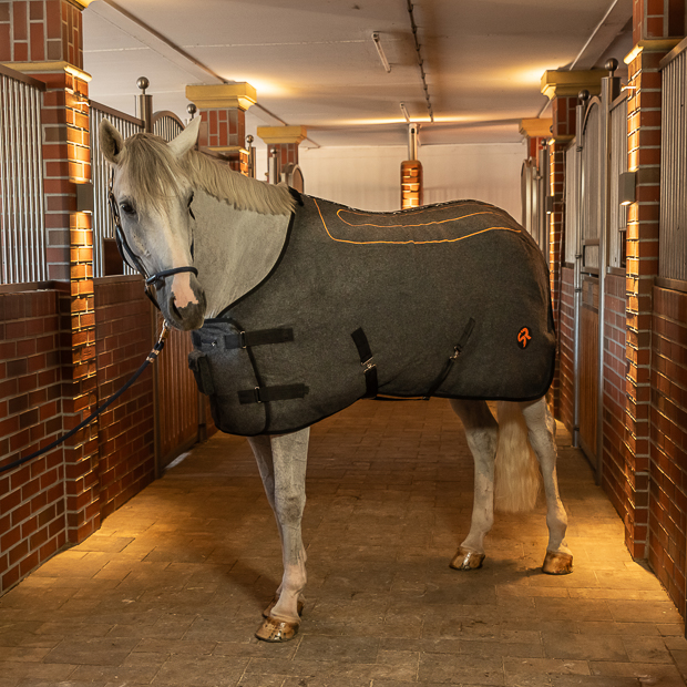 grey heating rug st. moritz from wool on horse grey wool heating rug st. moritz with three levels of heating and program on a horse in the stable
