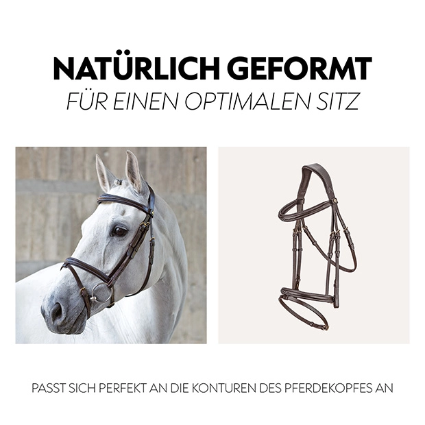 English combined bridle "London" with reins