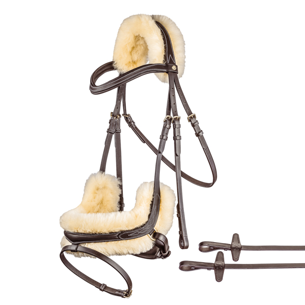 1 detailed view of included reins