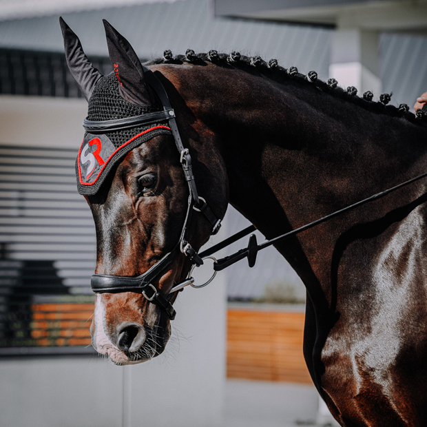 pferd mit sunride fliegenhaube sowie englisch kombinierter trense york in schwarz