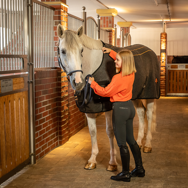 grey heating rug st. moritz from wool on horse with rider grey wool heating rug st. moritz with three levels of heating and program on a horse in the stable with rider
