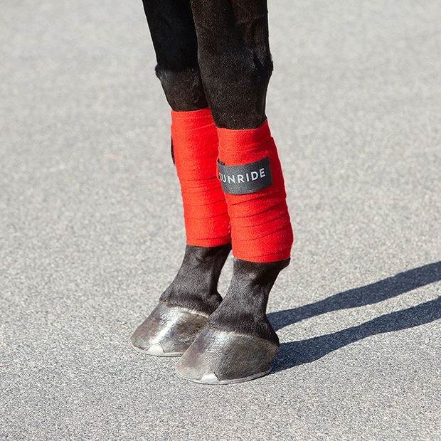 elastische bandagen aus fleece in olive von sunride  am pferdebein