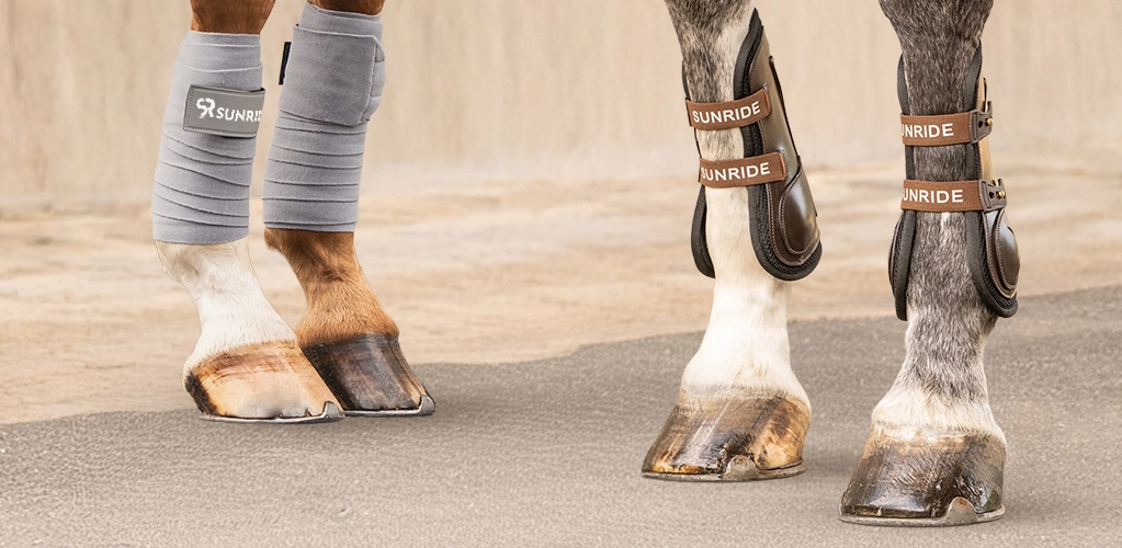 Beinschutz  Mehrere Pferdebeine mit verschiedenen Gamaschen und Beinschützern auf dem Asphalt vor einer grauen Mauer