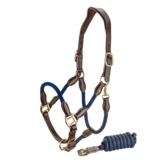 1 brown leather halter with blue ropes and golden mounting denver including lead rope by sunride