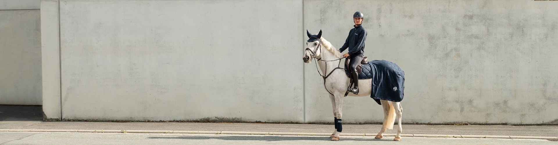 Schabracken Sets Ein Reiter sitzt auf einem Pferd mit blauer Schabracke passender Abschwitzdecke und Fliegenohren und blickt nach vorn im Hintergrund ist eine helle Betonwand zu sehen