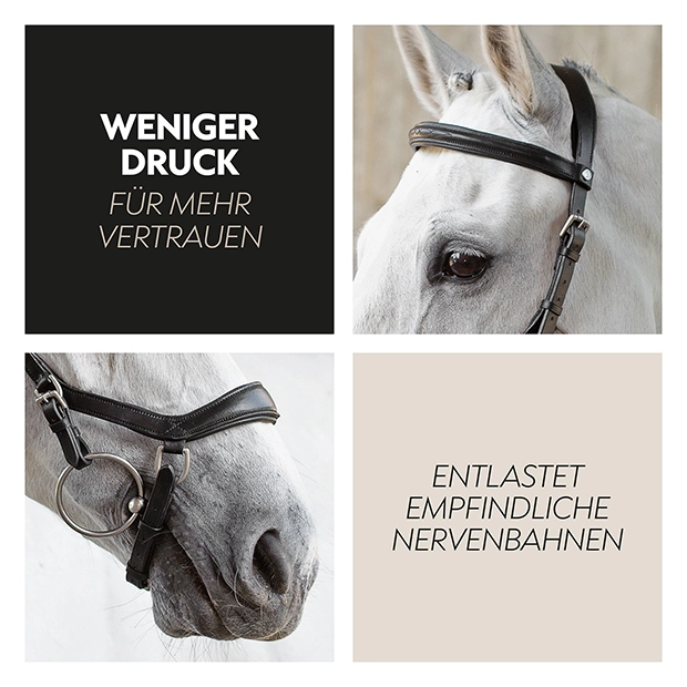 English combined bridle "York" with reins