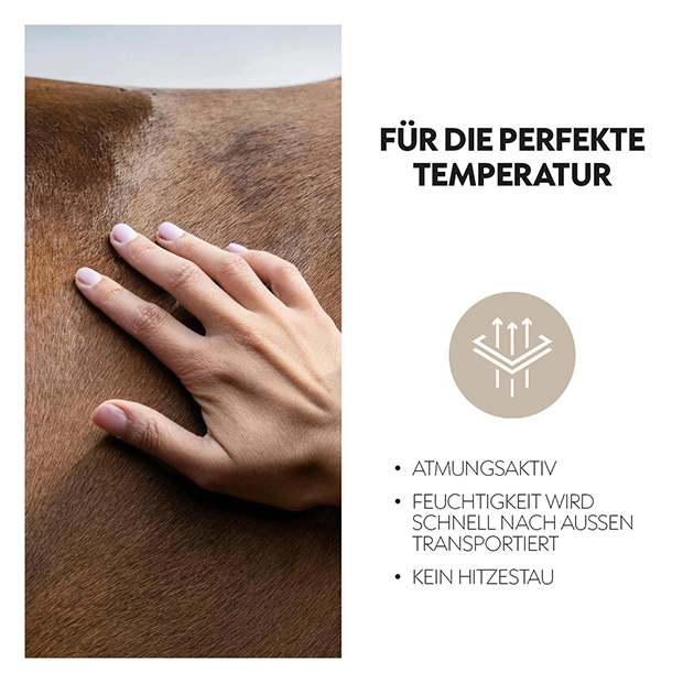 Fly mask with halter "Dubai" Fly mask with halter "Dubai"