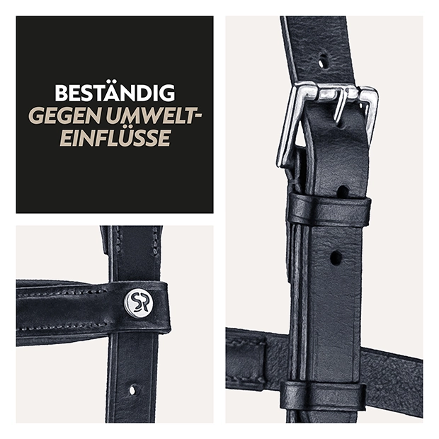 English combined bridle "York" with reins