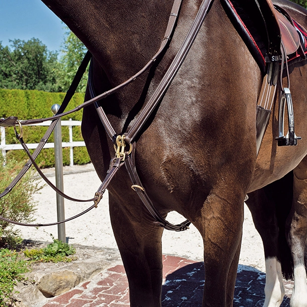 elastic leather breastplate and detachable martingal windsor brown on horse windsor brown leather breastplate with detachable martingal and elastic straps by sunride on a horse