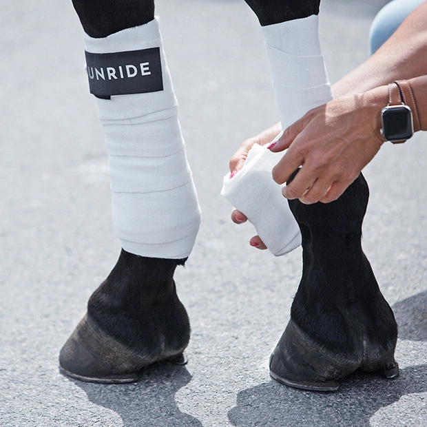 elastische bandagen in weiß von sunride  am pferdebein