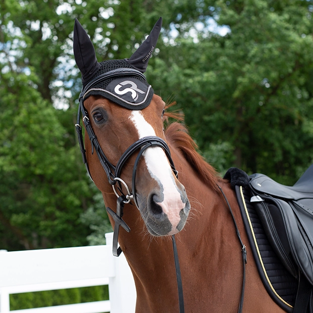 Ein Pferd trägt eine Fliegenhaube in Silber aus der Exclusive Line von Sunride und eine passende Trense