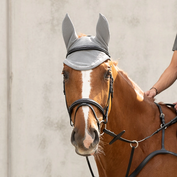 rounded elastic ear net and fly hood grey wellington line by sunride on a horse
