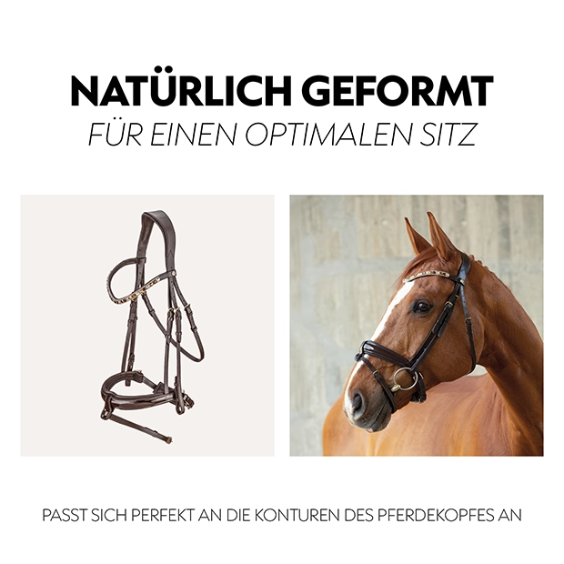 A brown anatomical bridle is displayed on the left, while a horse wearing the bridle is shown on the right against a neutral background.