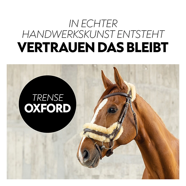 Swedish bridle "Oxford" with reins