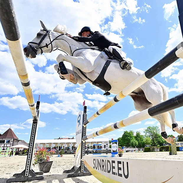 Leather Studguard Girth "Hickstead" Leather Studguard Girth "Hickstead"