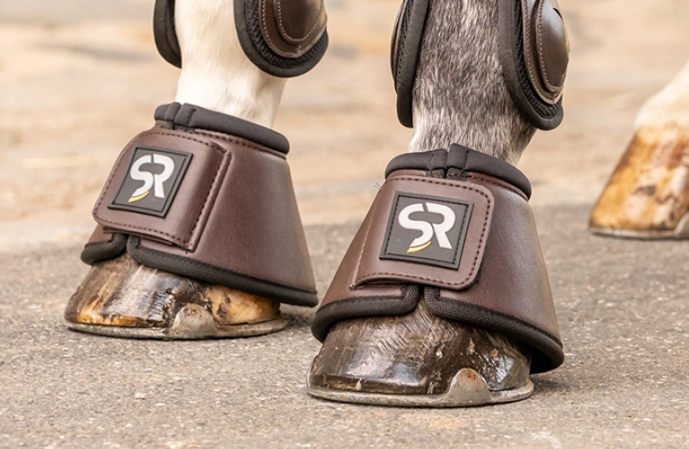 Drei Pferdehufen stehen auf auf dem Asphalt und die zwei vorderen Hufen tragen braune Leder Hufglocken  