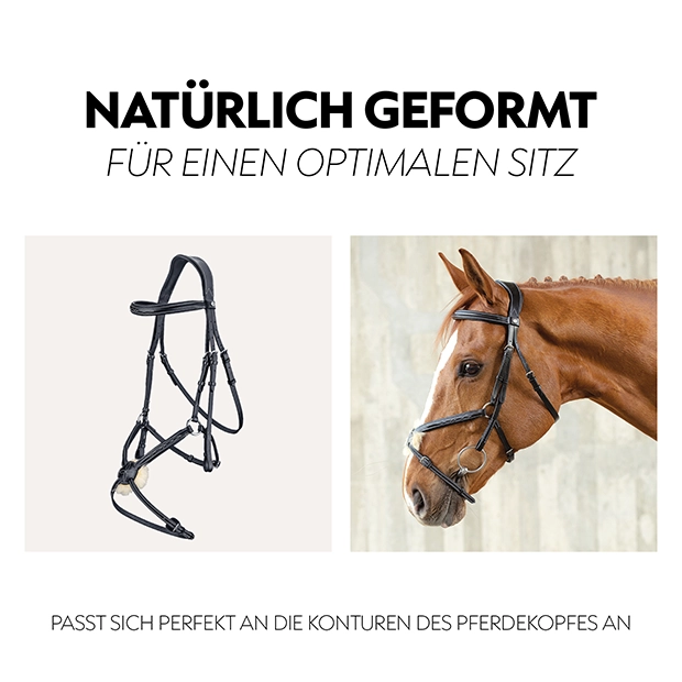 Eine anatomisch geformte mexikanische Trense in Schwarz, die optimal an die Konturen des Pferdekopfes angepasst ist.