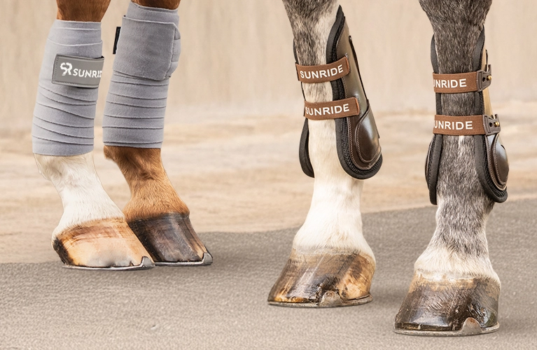 Beinschutz  Mehrere Pferdebeine mit verschiedenen Gamaschen und Beinschützern auf dem Asphalt vor einer grauen Mauer
