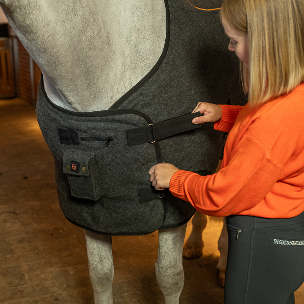 perfect fit of grey heating rug st. moritz from wool on horse with rider grey wool heating rug st. moritz with three levels of heating and program on a horse in the stable with rider fixing fit