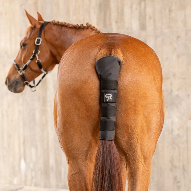 horse with velcro tail protector black black tail cover with velcro closures by sunride on a horse