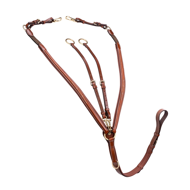 Vorderzeug "Windsor" mit Martingal