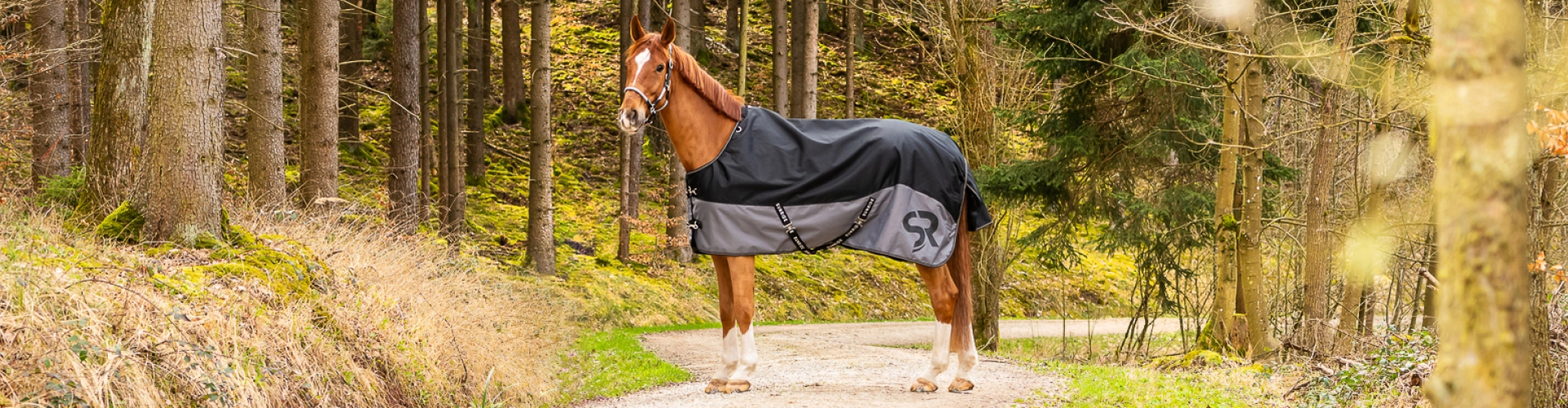 Pferdedecken Ein Pferd steht auf einem Waldweg und trägt eine schwarz graue Decke im Hintergrund sind Bäume zu sehen