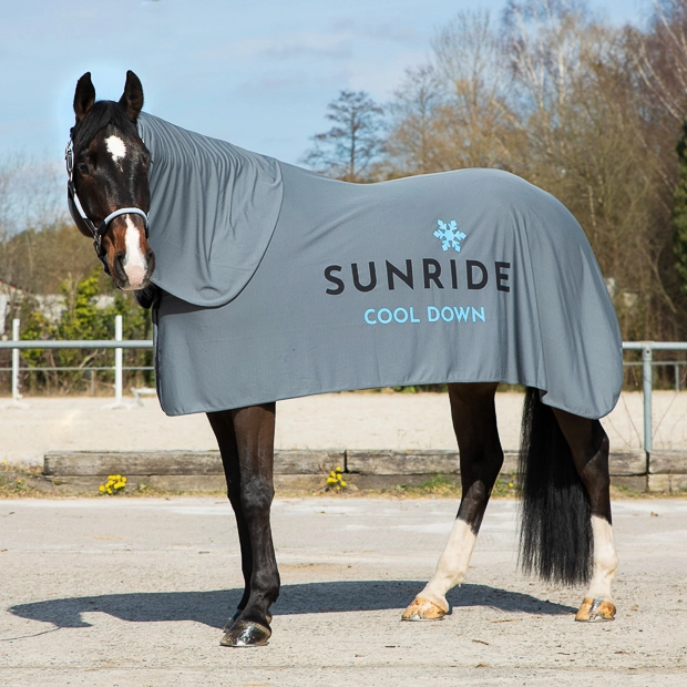 3in1 Cooling Rug "Cool Down” 3in1 Cooling Rug "Cool Down”