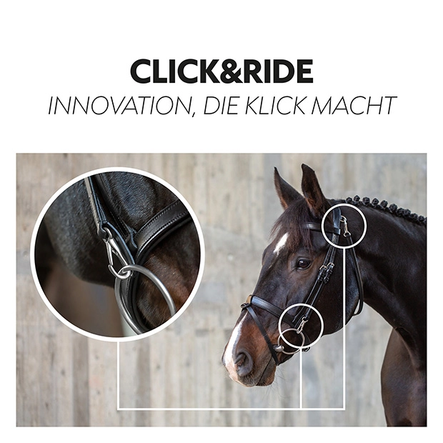 English combined bridle "Berlin" with reins English combined bridle "Berlin" with reins