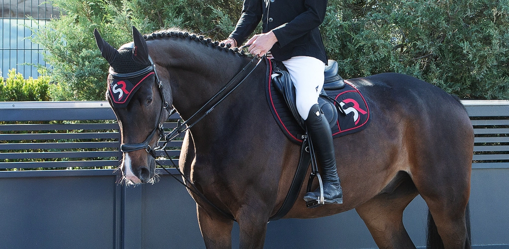 Schlaufzügel Ein Reiter sitzt auf einem Pferd das Schlaufzügel drinnen hat im Hintergrund sind ein Zaun und grüne Bäume zu sehen
