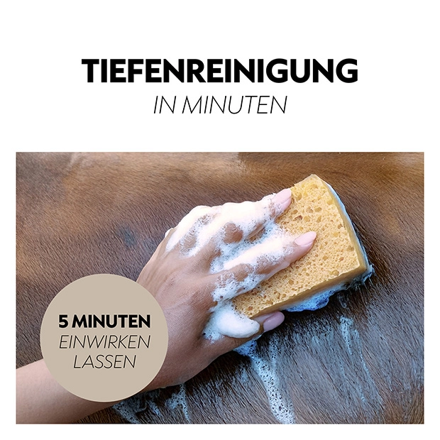 Shampoo for horses 500 ml Shampoo for horses 500 ml