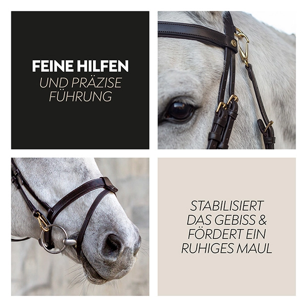 English combined bridle "Berlin" with reins English combined bridle "Berlin" with reins