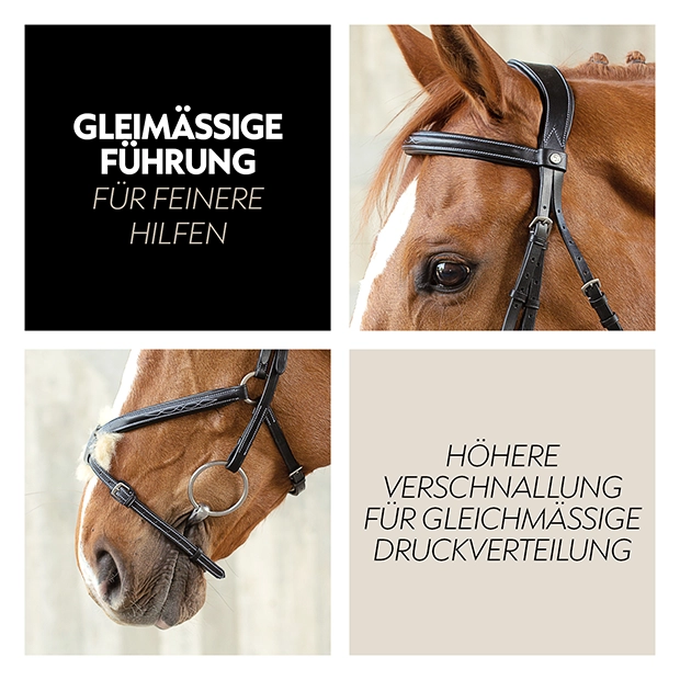 Nahaufnahme einer schwarzen mexikanischen Trense an einem Pferd, die eine gleichmäßige Druckverteilung und feine Hilfen ermöglicht.