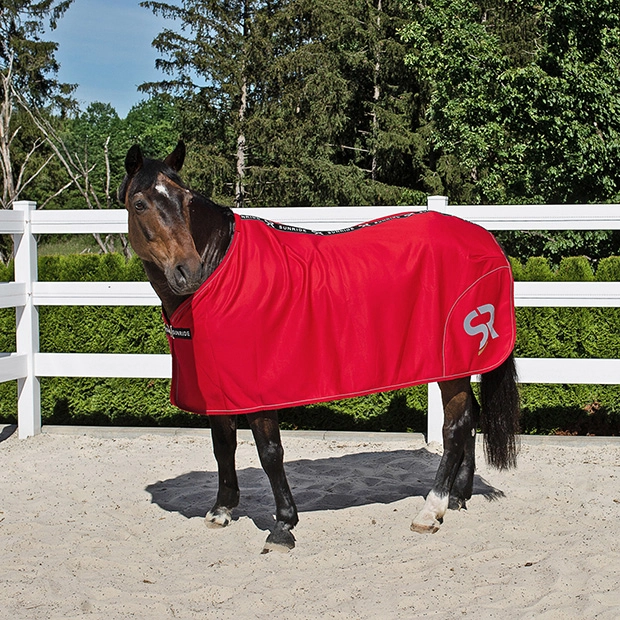 Ein Pferd steht auf einem Paddock und trägt eine rote Abschwitzdecke Boston von Sunride