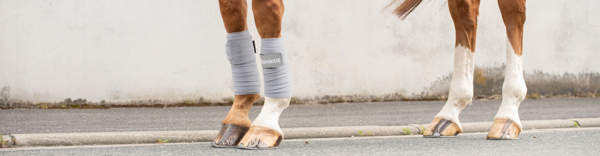 Vier Pferdebeine und vorne mit den Fleece Bandagen Wellington von SUNRIDE in grau vor einer grauen Wand 