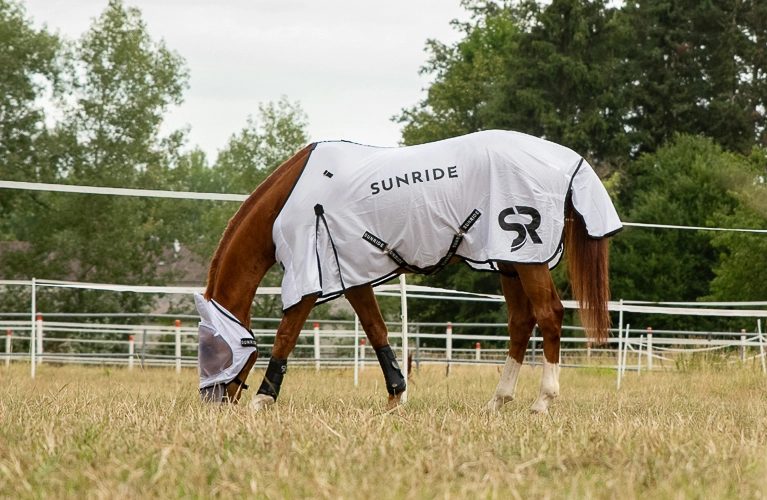 Fliegenmaske Ein Pferd steht auf der Koppel mit einer Fliegendecke und hat die Fliegenmaske Miami auf