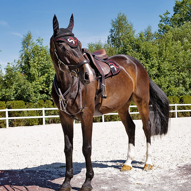 Breastplate "Windsor" with martingale Breastplate "Windsor" with martingale