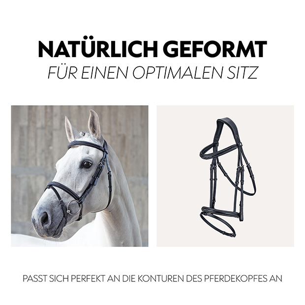 English combined bridle "London" with reins