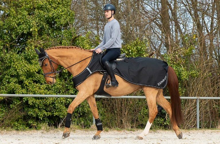 Ein Pferd und Reiter mit der Wasserdichte Ausreitdecke Derby auf dem Ausenplatz Ein Pferd und Reiter mit der Wasserdichte Ausreitdecke Derby auf dem Ausenplatz