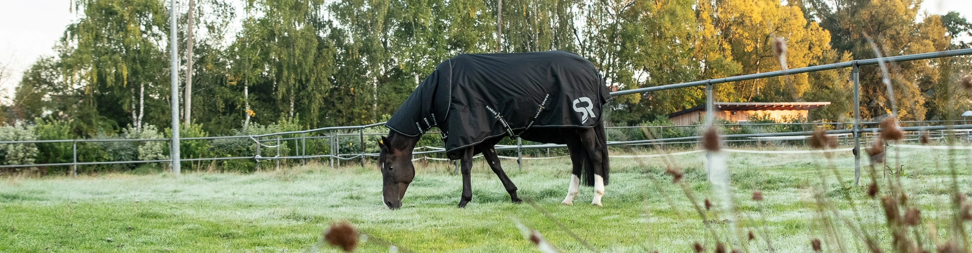 Regendecke Dublin mit Halsteil Ein Pferd steht bei kälte auf der Koppel und es trägt die Regendecke Dublin mit Halsteil