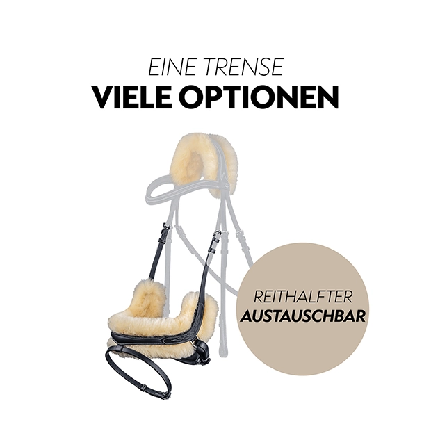 Schwedische Trense "Oxford" mit Zügel