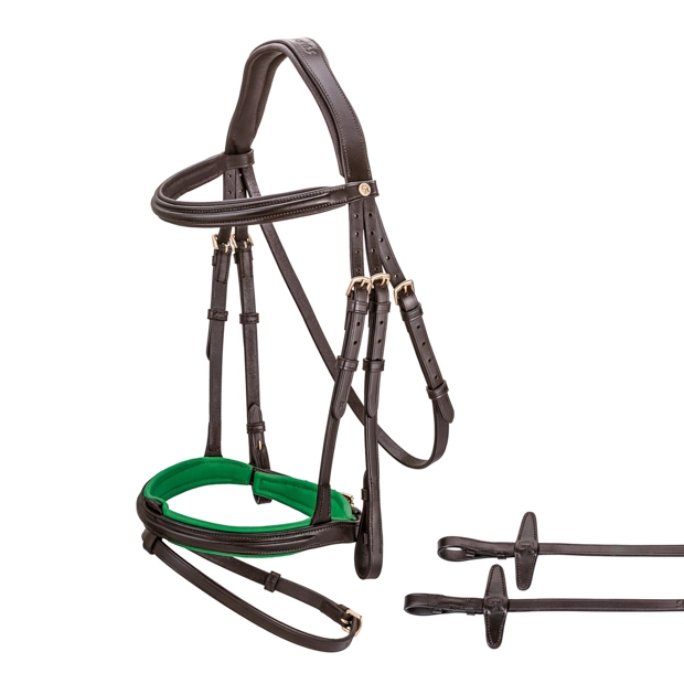 detailed view of included reins