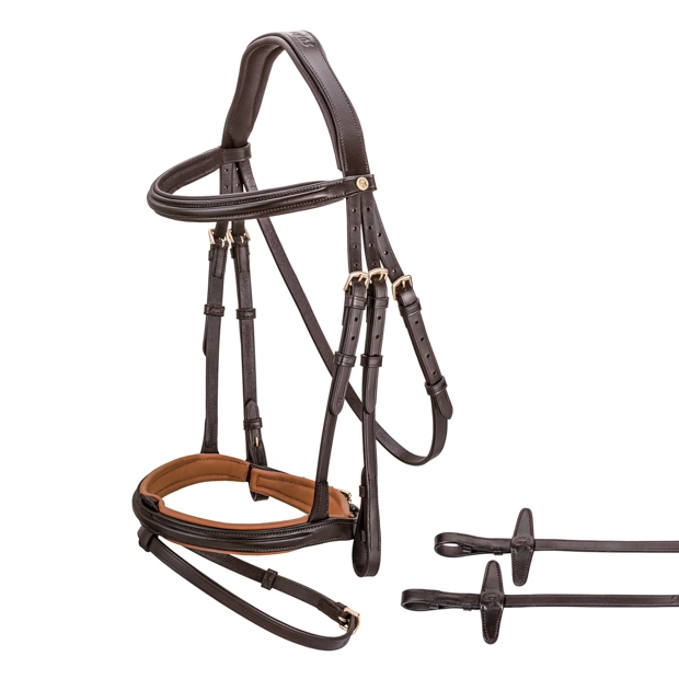 1 detailed view of included reins