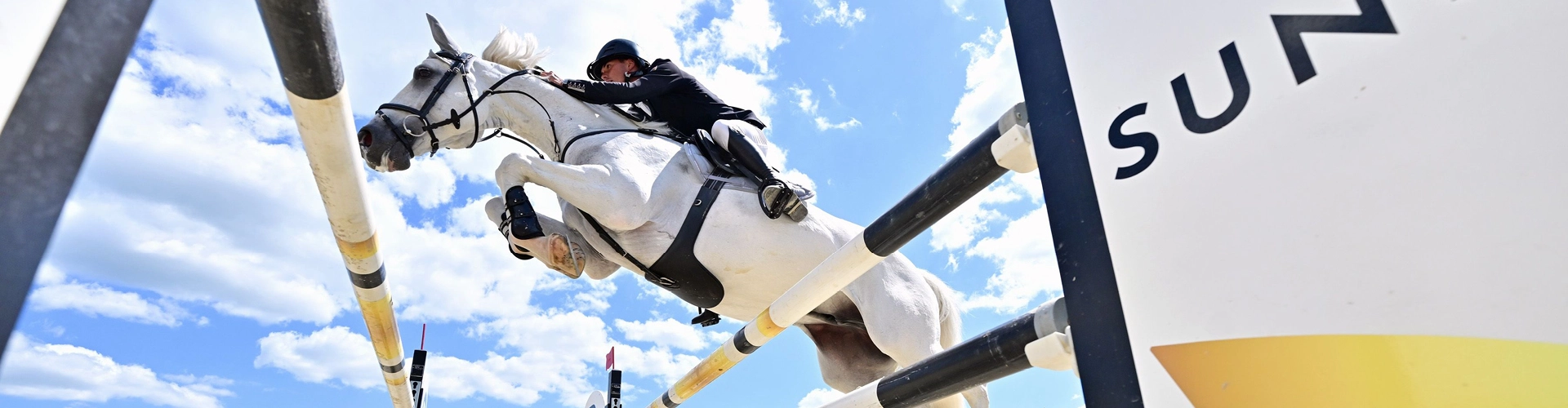 Leder Stollengurt Hickstead Ein Pferd und ein Reiter springen über ein Sprung und das Pferd hat den Leder Stollengurt Hickstead an