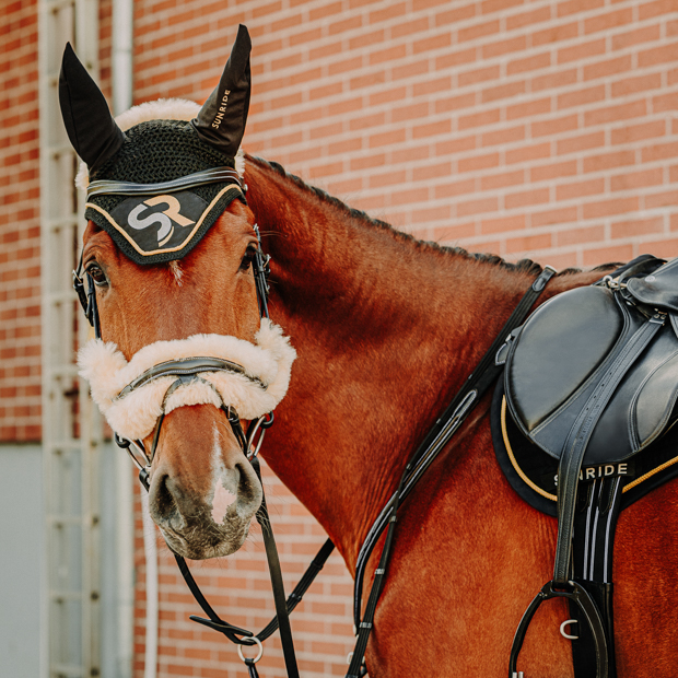 schwedische felltrense oxford braun inklusive zuegel am pferd braune schwedische ledertrense oxford mit fellpolsterung inklusive zuegel von sunride am pferd