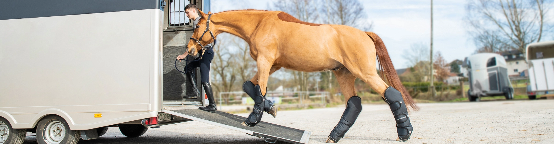 Transportgamaschen Ein Pferd mit Transportgamaschen läuft eine Rampe hinauf in einen Pferdeanhänger eine Reiterin führt es hinein