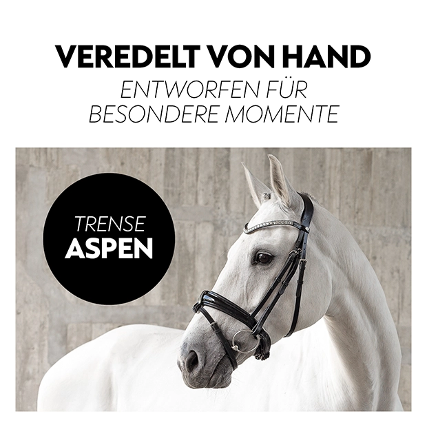 Schwedische Trense "Aspen" mit Zügel