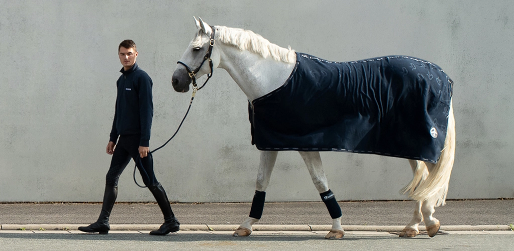 A horse wearing a SUNRIDE fleece cooler in blue in front of a gray wall.