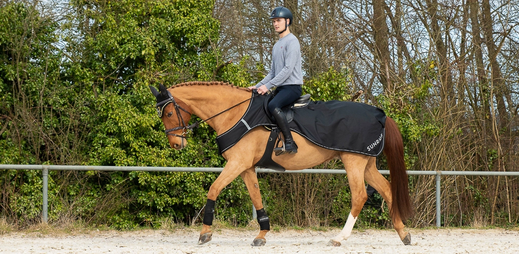 Ein Pferd und Reiter mit der Wasserdichte Ausreitdecke Derby auf dem Ausenplatz Ein Pferd und Reiter mit der Wasserdichte Ausreitdecke Derby auf dem Ausenplatz