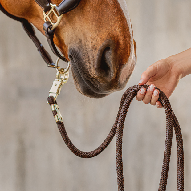 brown leather halter with brown ropes denver including rope detail brown leather halter with brown ropes and golden mounting denver with detailed view of  including lead rope by sunride